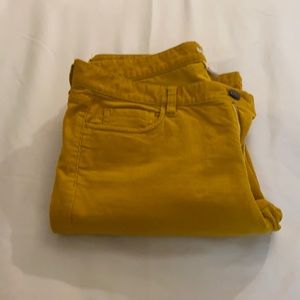 Mustard color corduroy pants.